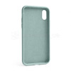 Чохол Full Silicone Case для Apple iPhone X, Xs turquoise (17)