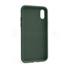 Чохол Full Silicone Case для Apple iPhone X, Xs atrovirens green (54)