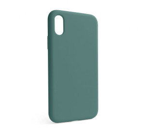 Чохол Full Silicone Case для Apple iPhone X, Xs pine green (55) (без логотипу)