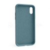 Чохол Full Silicone Case для Apple iPhone X, Xs cactus (60)