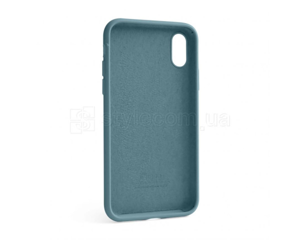 Чохол Full Silicone Case для Apple iPhone X, Xs cactus (60)