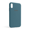 Чехол Full Silicone Case для Apple iPhone Xr cactus (60)