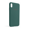 Чехол Full Silicone Case для Apple iPhone Xs Max pine green (55)
