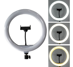Кільцева лампа WALKER WLR-3010 (30см) + стійка на підлогу (2,1м)